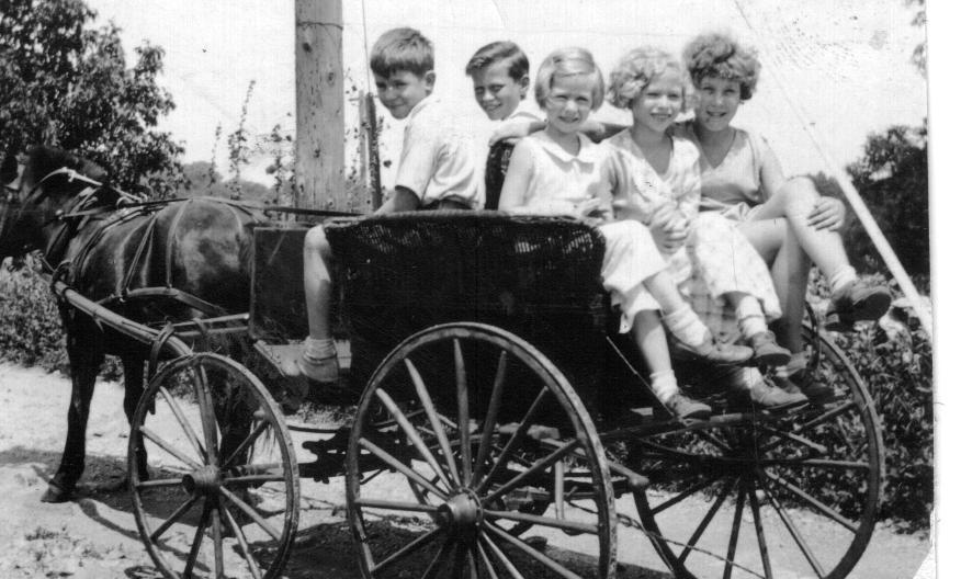 A horse and buggy that belonged to the camp owners
